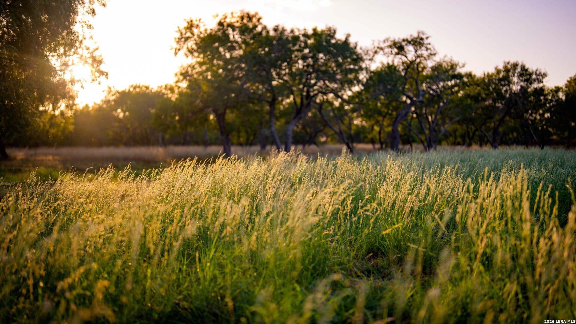 144.39 acres in Wilson County - photo 48
