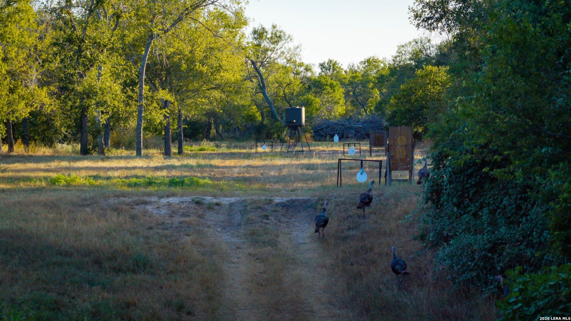 144.39 acres in Wilson County - photo 42