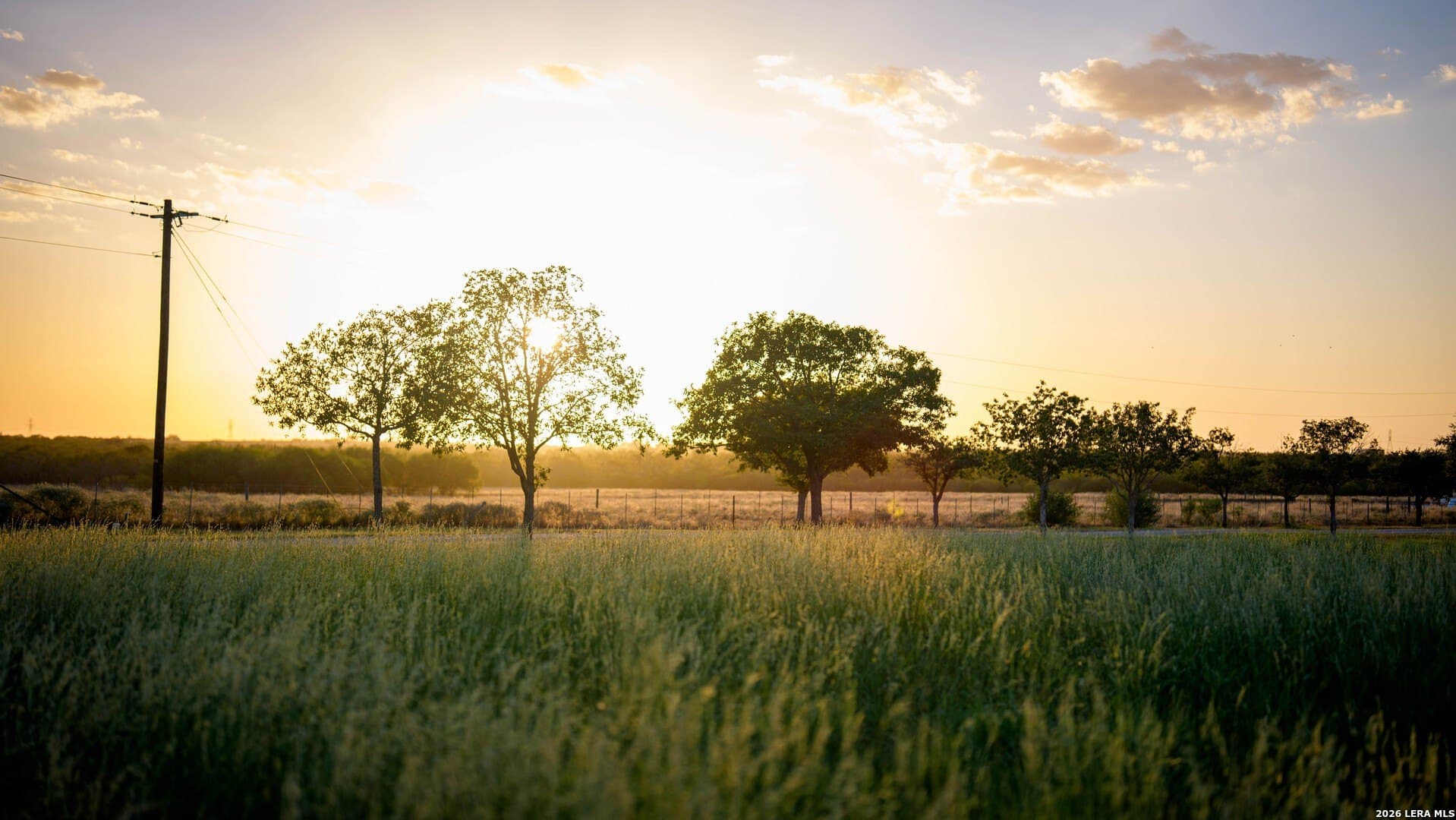 144.39 acres in Wilson County - photo 51