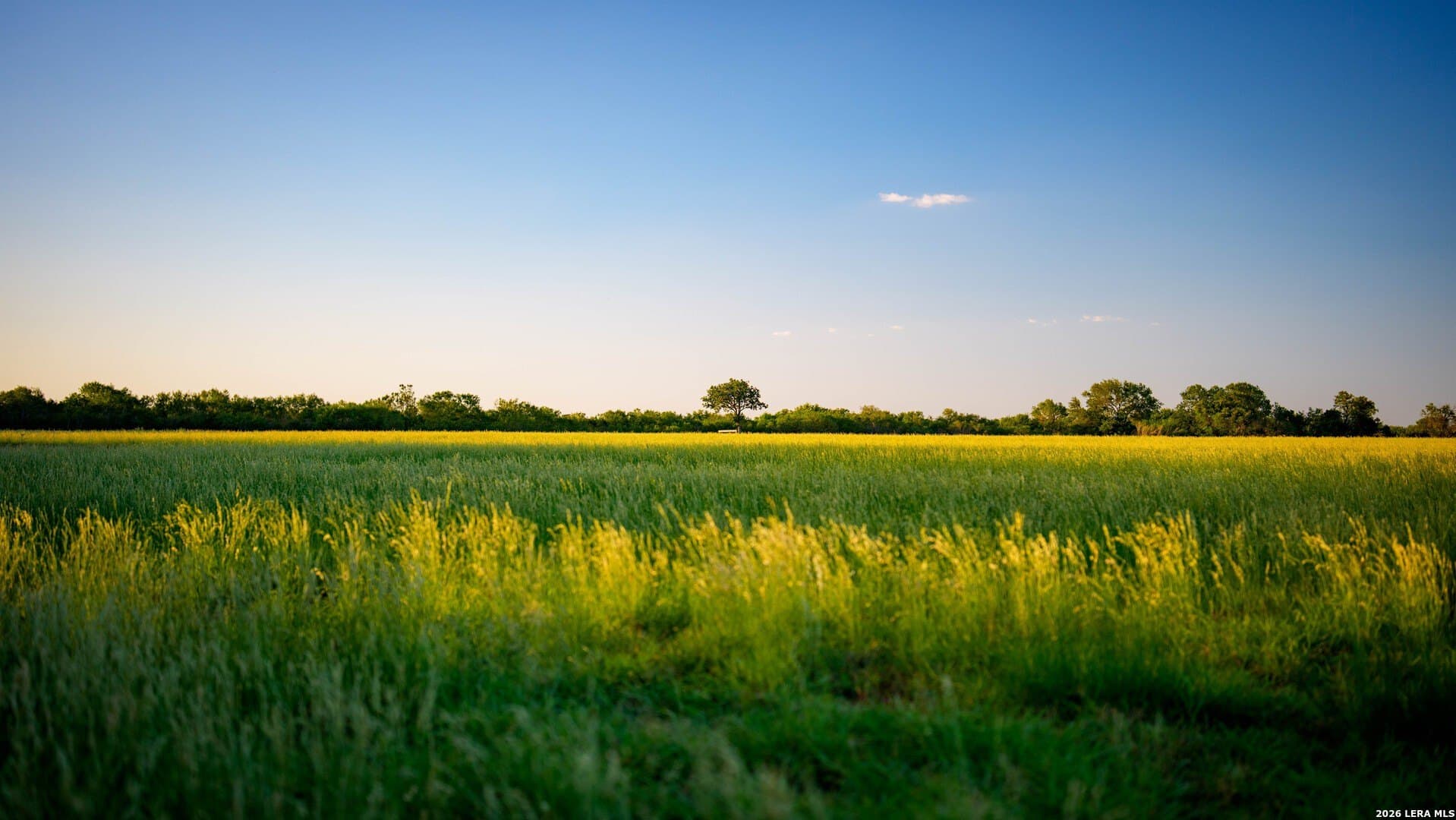 144.39 acres in Wilson County - photo 45