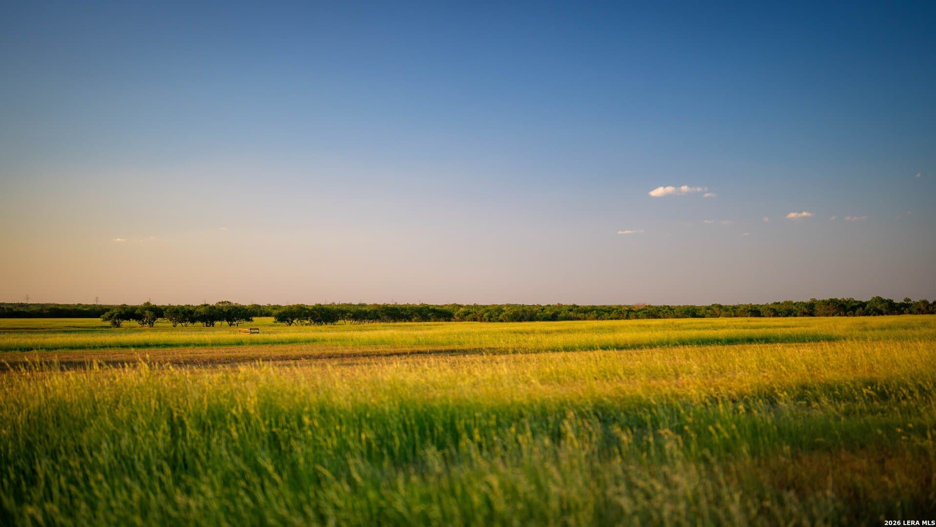 144.39 acres in Wilson County - photo 50