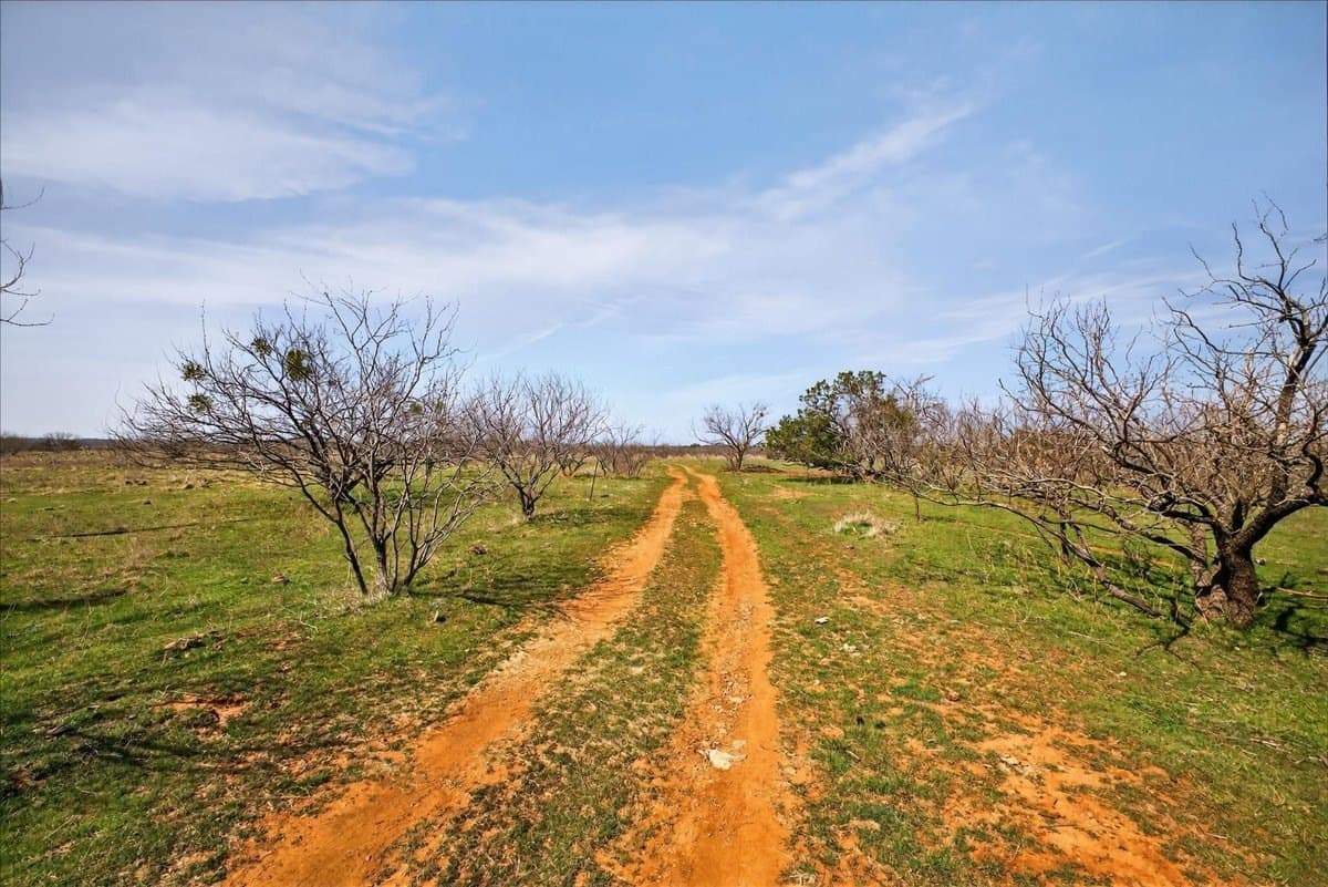 731.69 acres in Palo Pinto County - photo 20