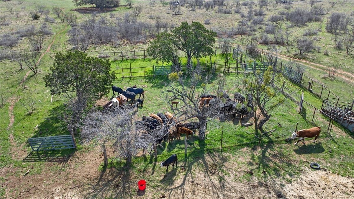 731.69 acres in Palo Pinto County - photo 38