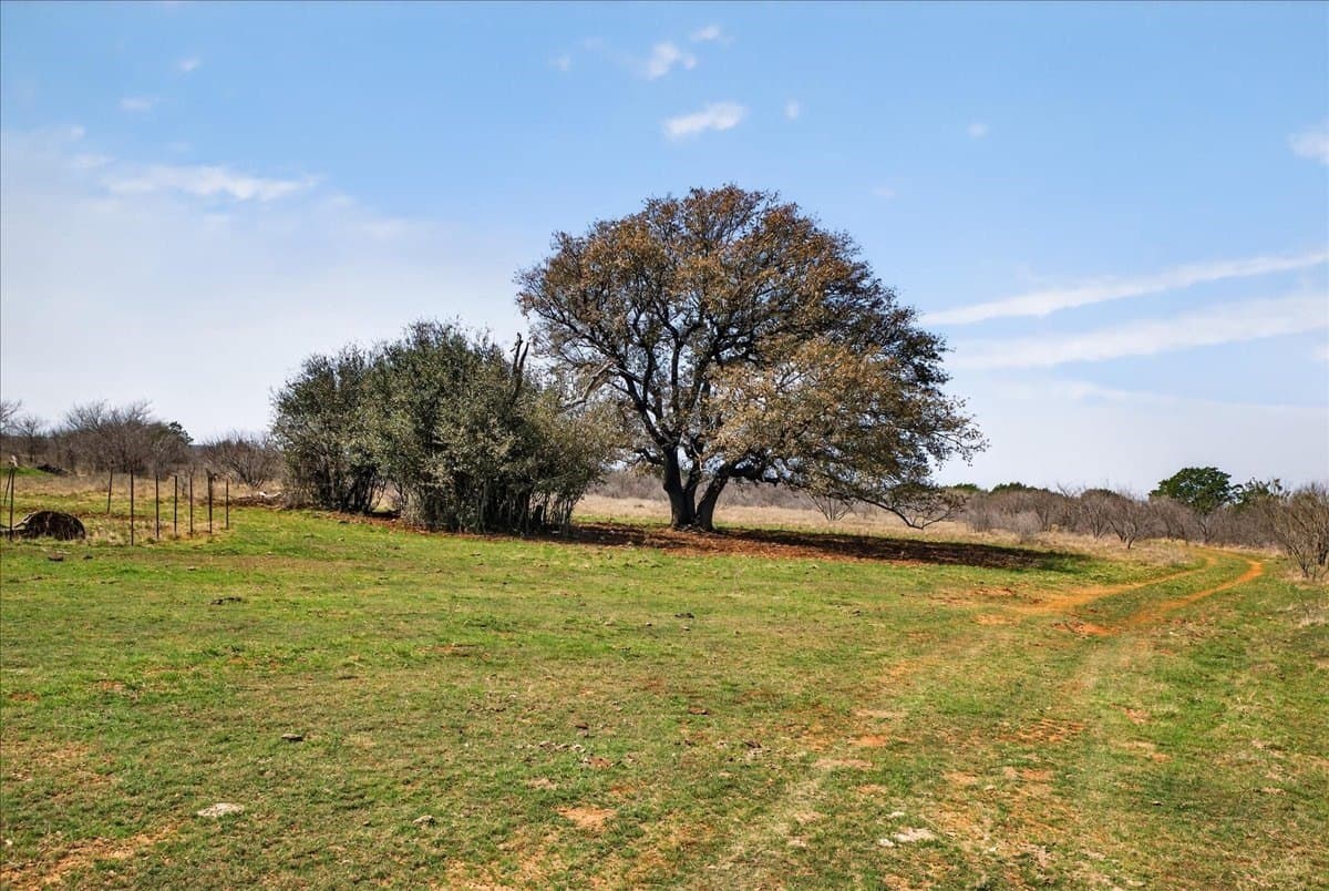731.69 acres in Palo Pinto County - photo 17