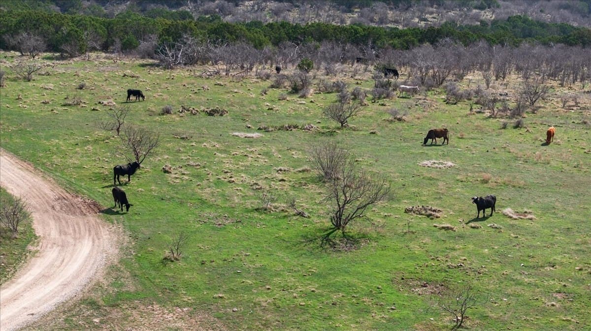 731.69 acres in Palo Pinto County - photo 29