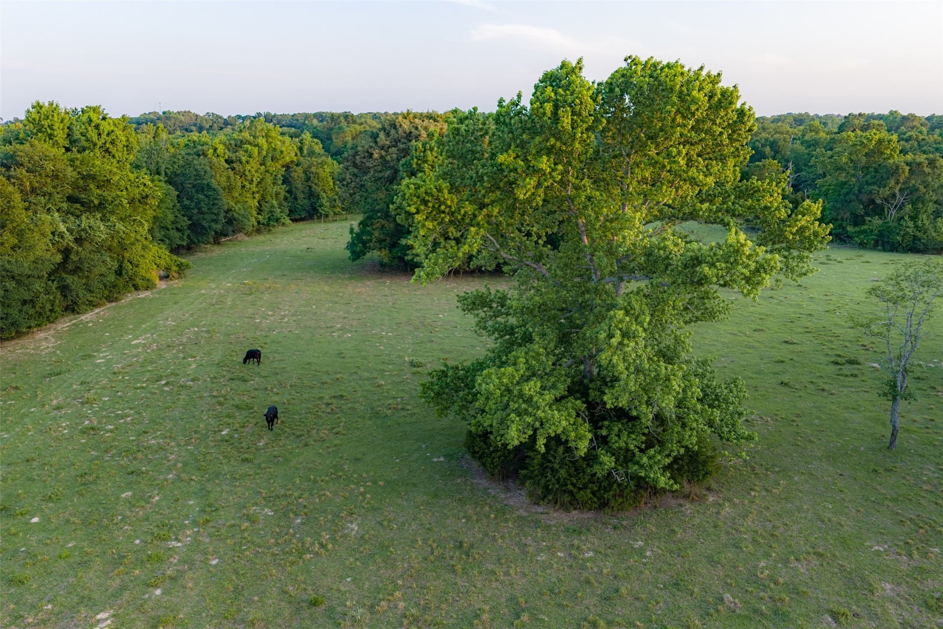 140 acres in Henderson County - photo 32