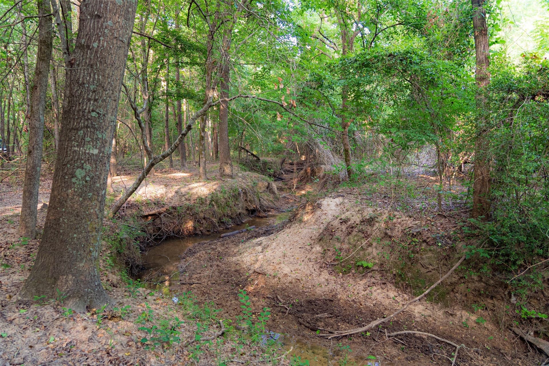 140 acres in Henderson County - photo 4