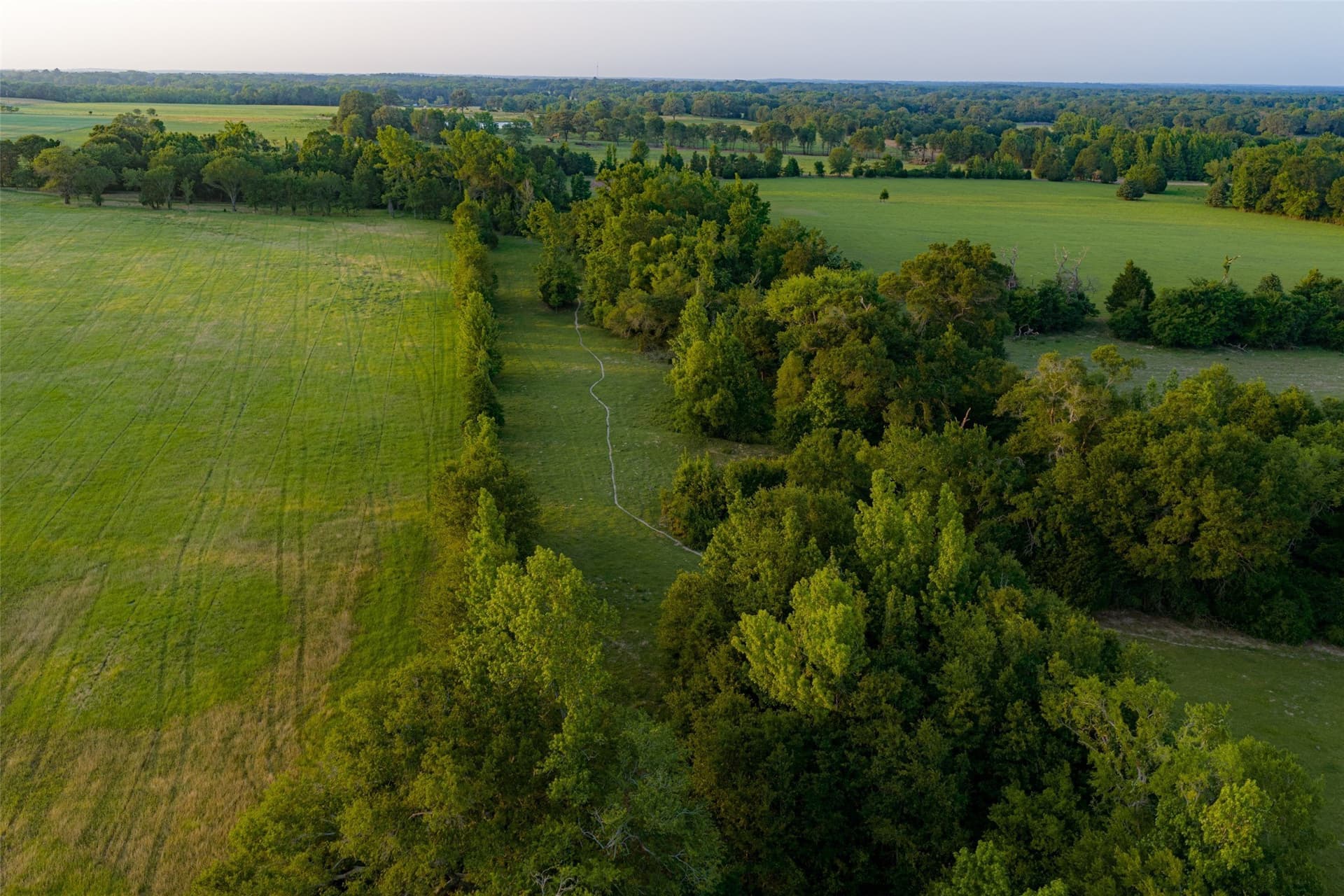 140 acres in Henderson County - photo 31