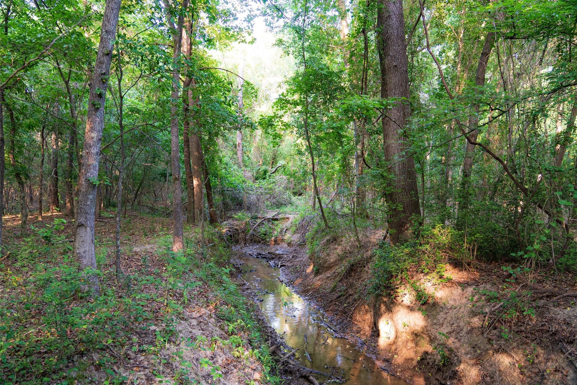 140 acres in Henderson County - photo 35