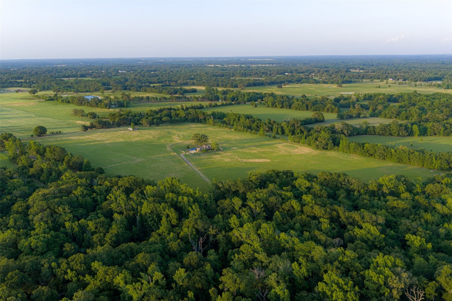 140 acres in Henderson County - photo 6