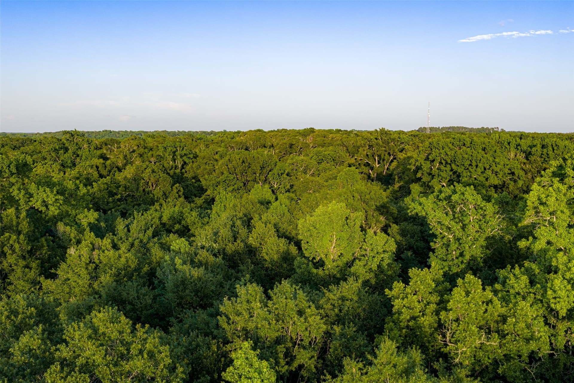 140 acres in Henderson County - photo 40