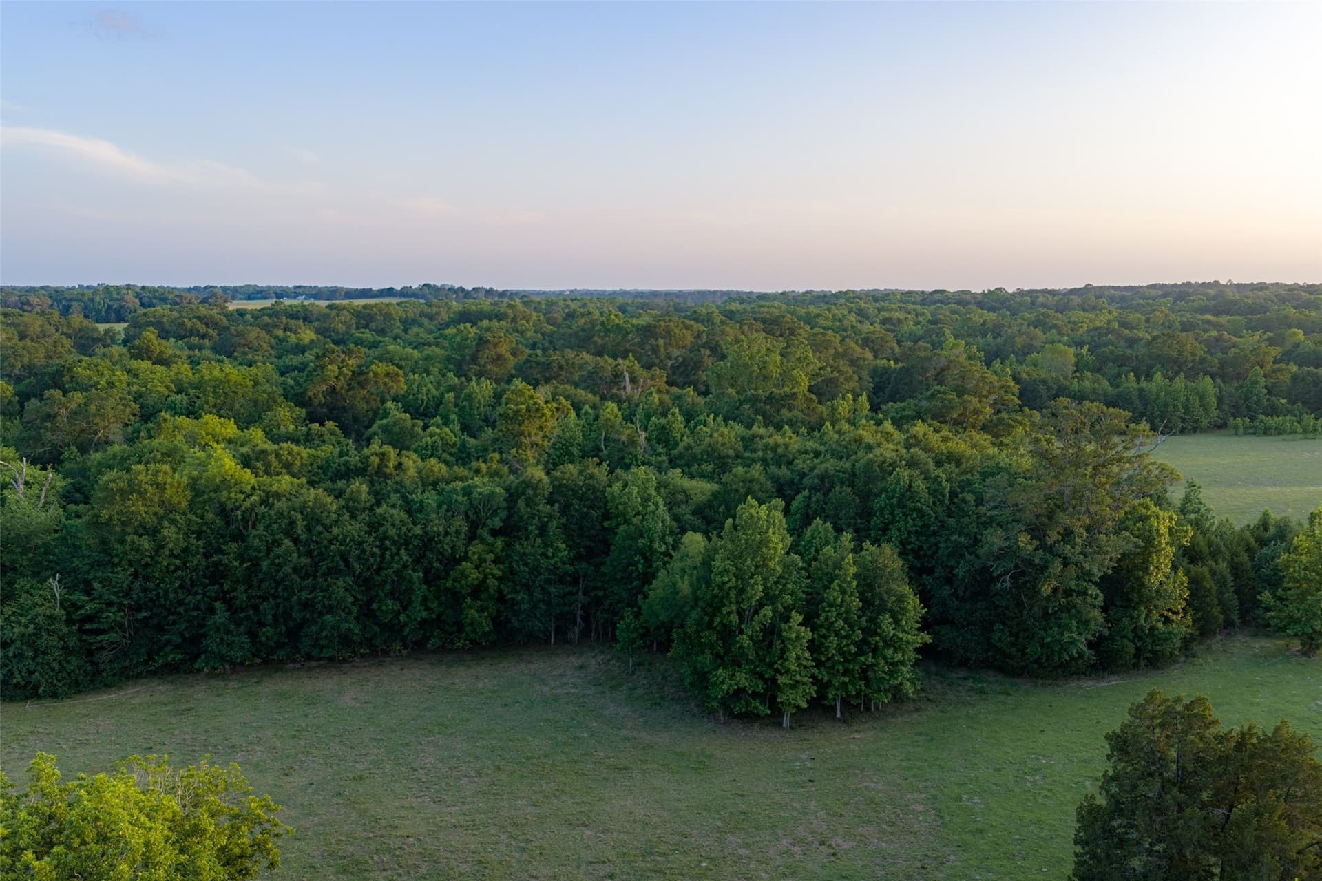 140 acres in Henderson County - photo 34