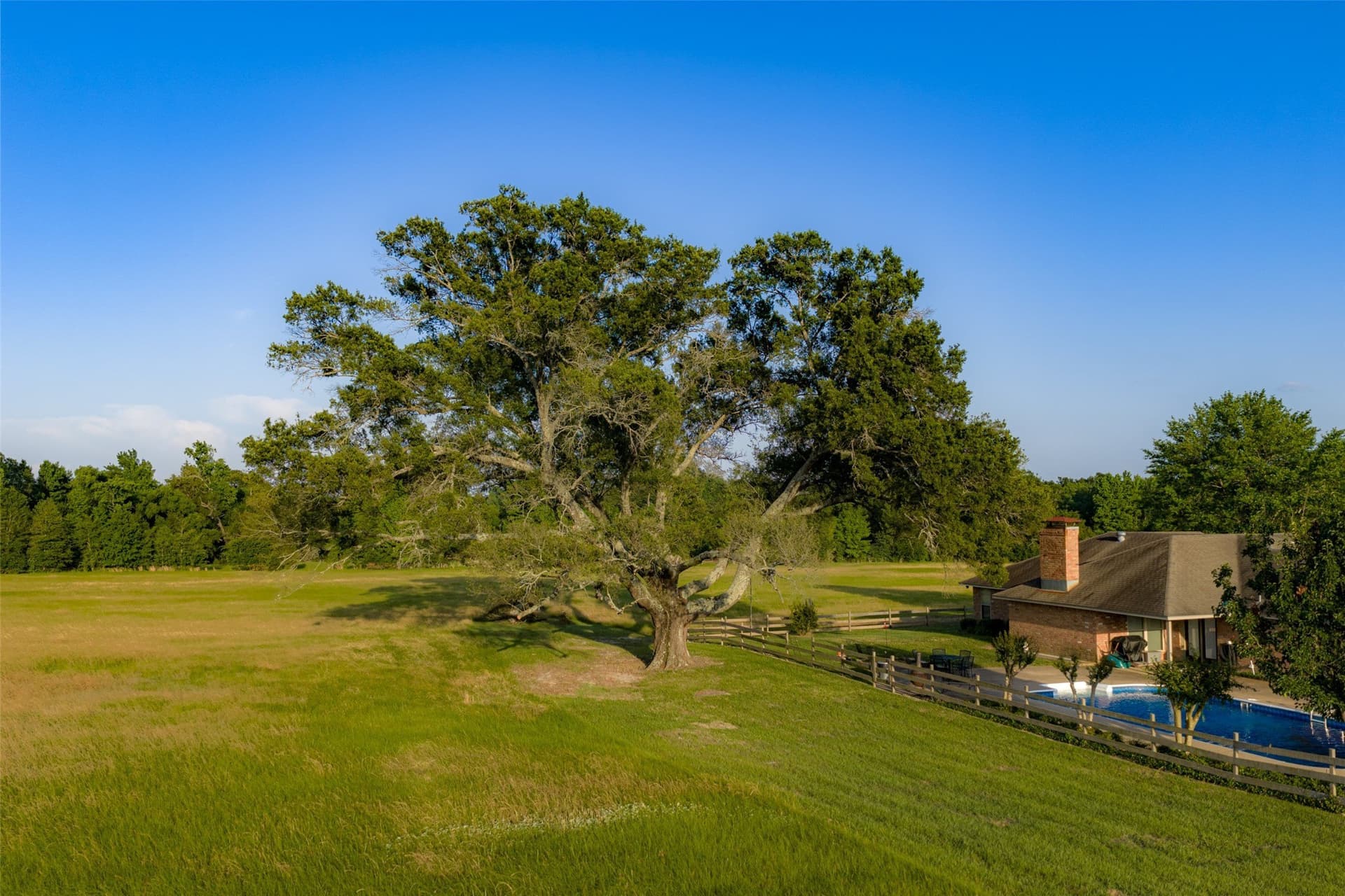 140 acres in Henderson County - photo 11