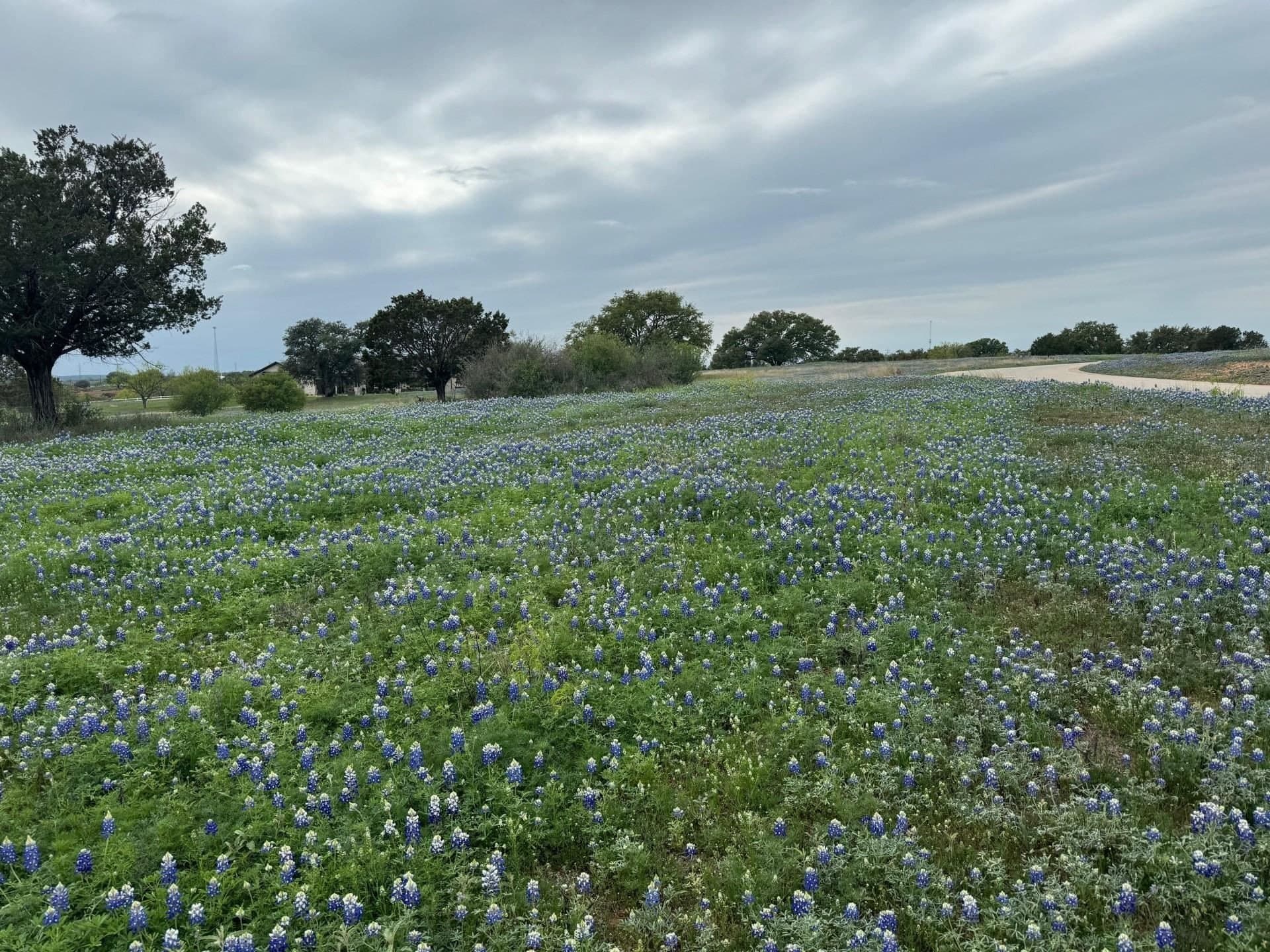 0.98 acres in Llano County - photo 6