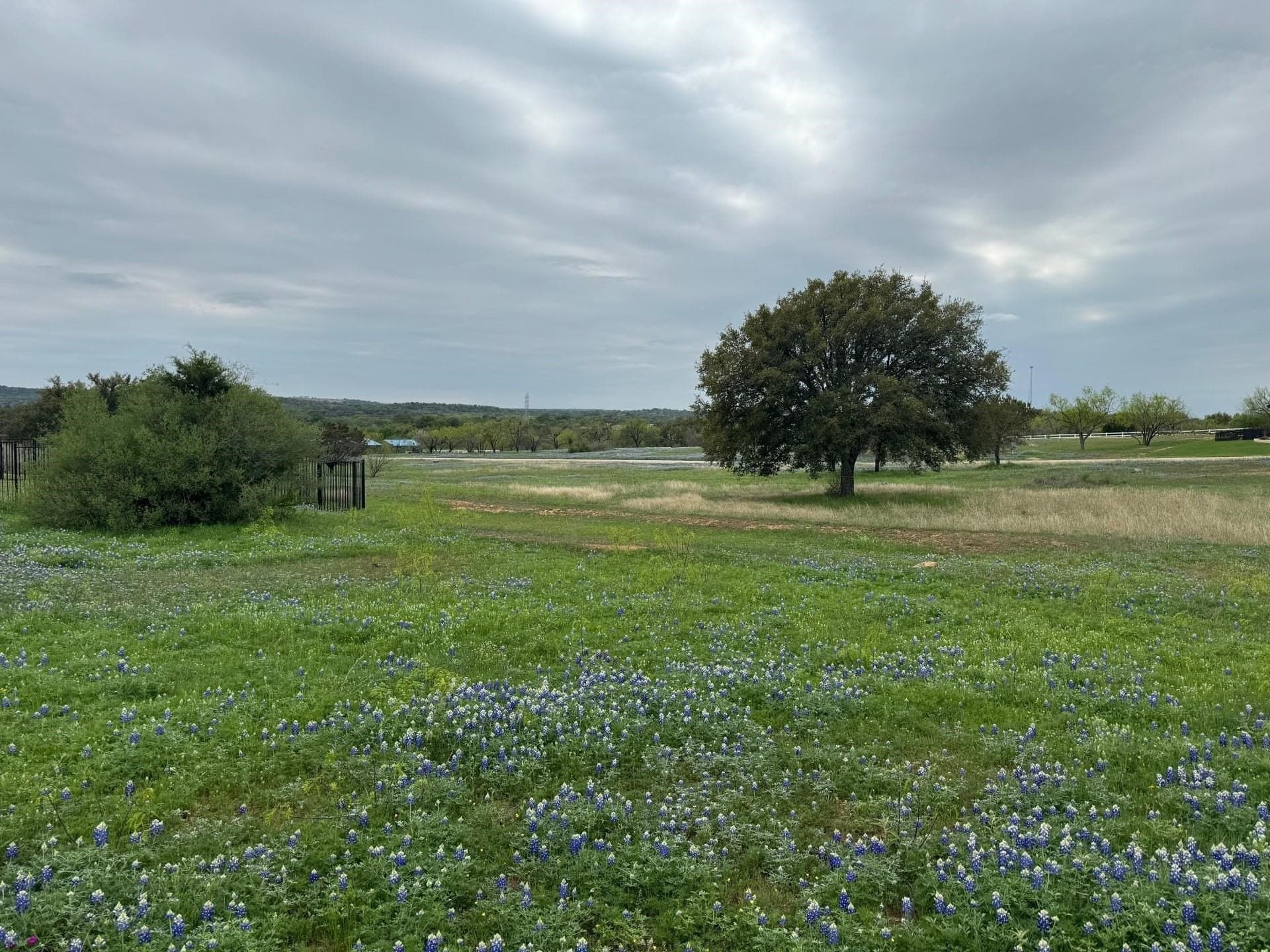 0.98 acres in Llano County - photo 9