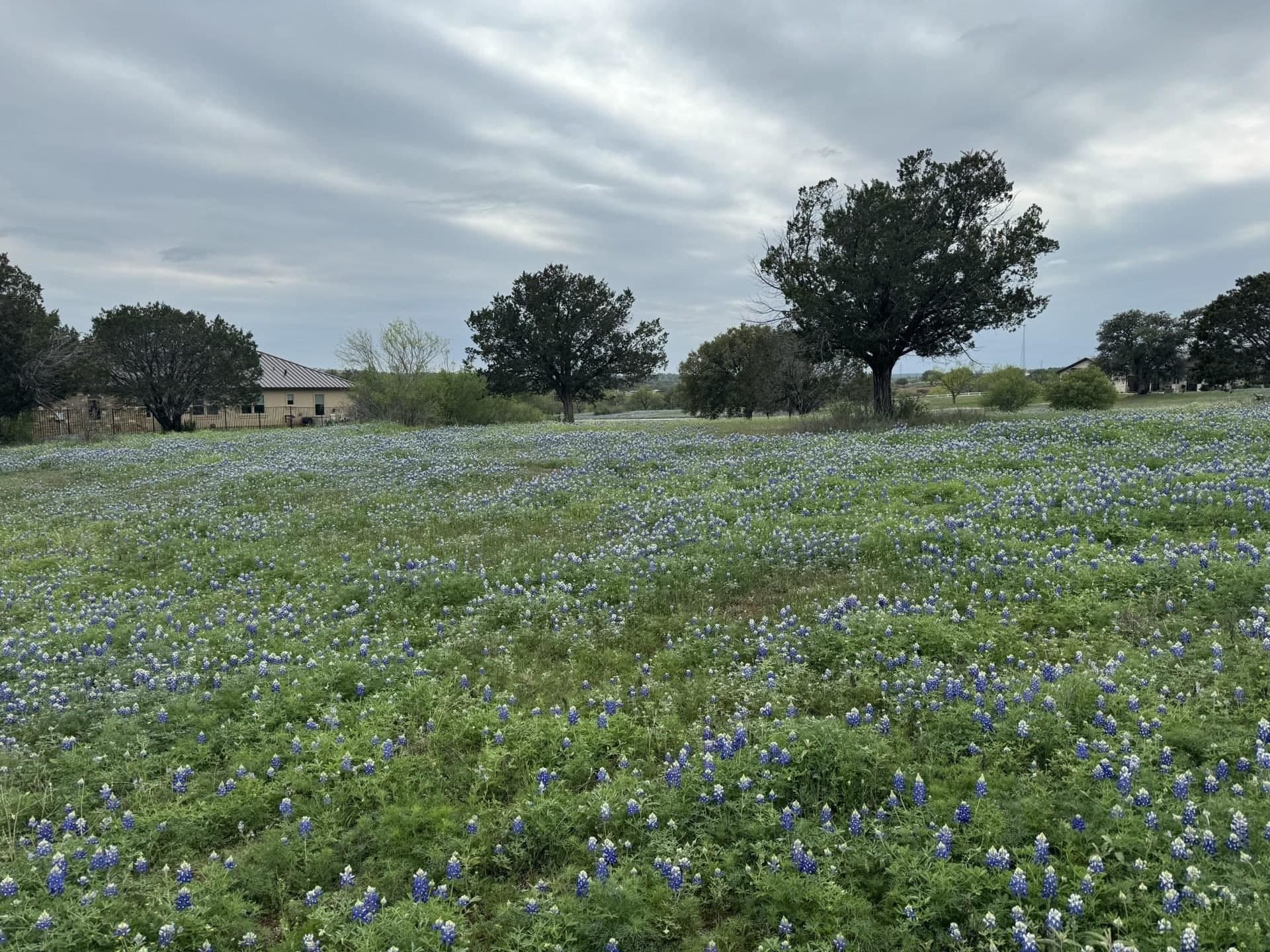 0.98 acres in Llano County - photo 8