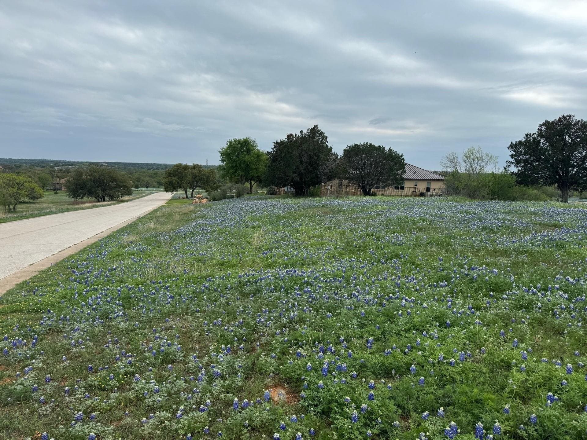 0.98 acres in Llano County gallery image 4