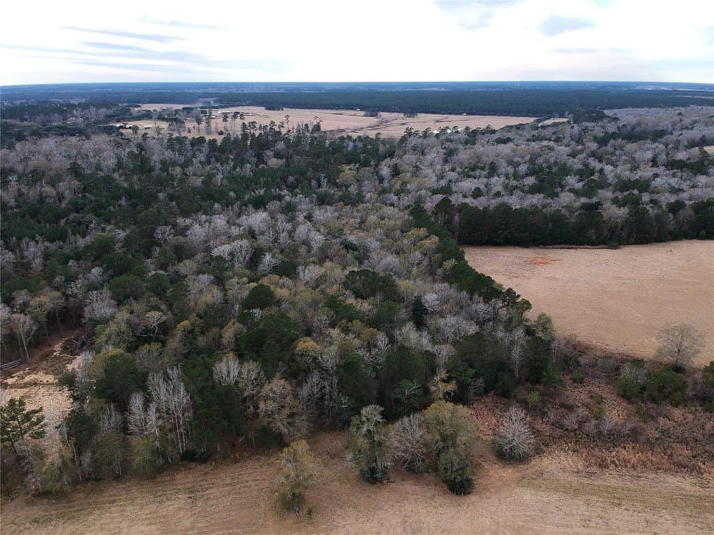 9.13 acres in Texas County gallery image 3