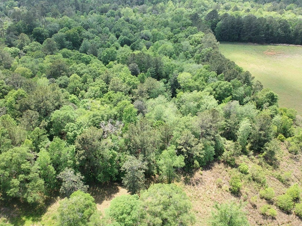 9.13 acres in Texas County - photo 13
