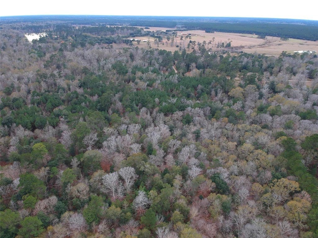 9.13 acres in Texas County featured view