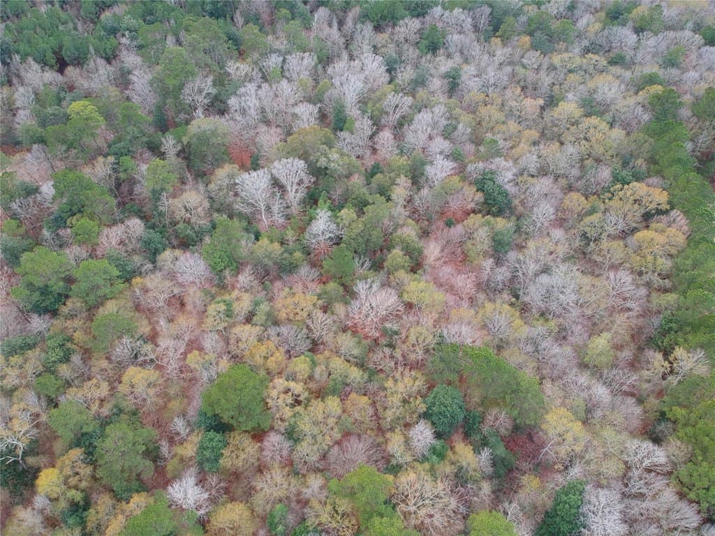 9.13 acres in Texas County gallery image 4