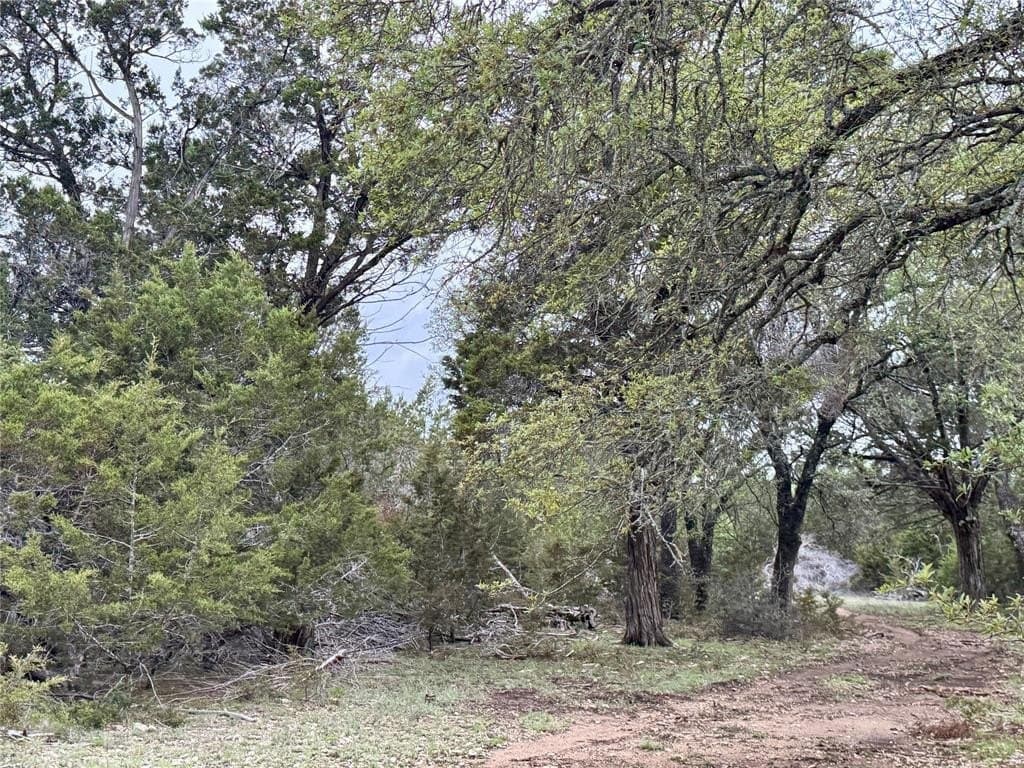 50 acres in Burnet County gallery image 2