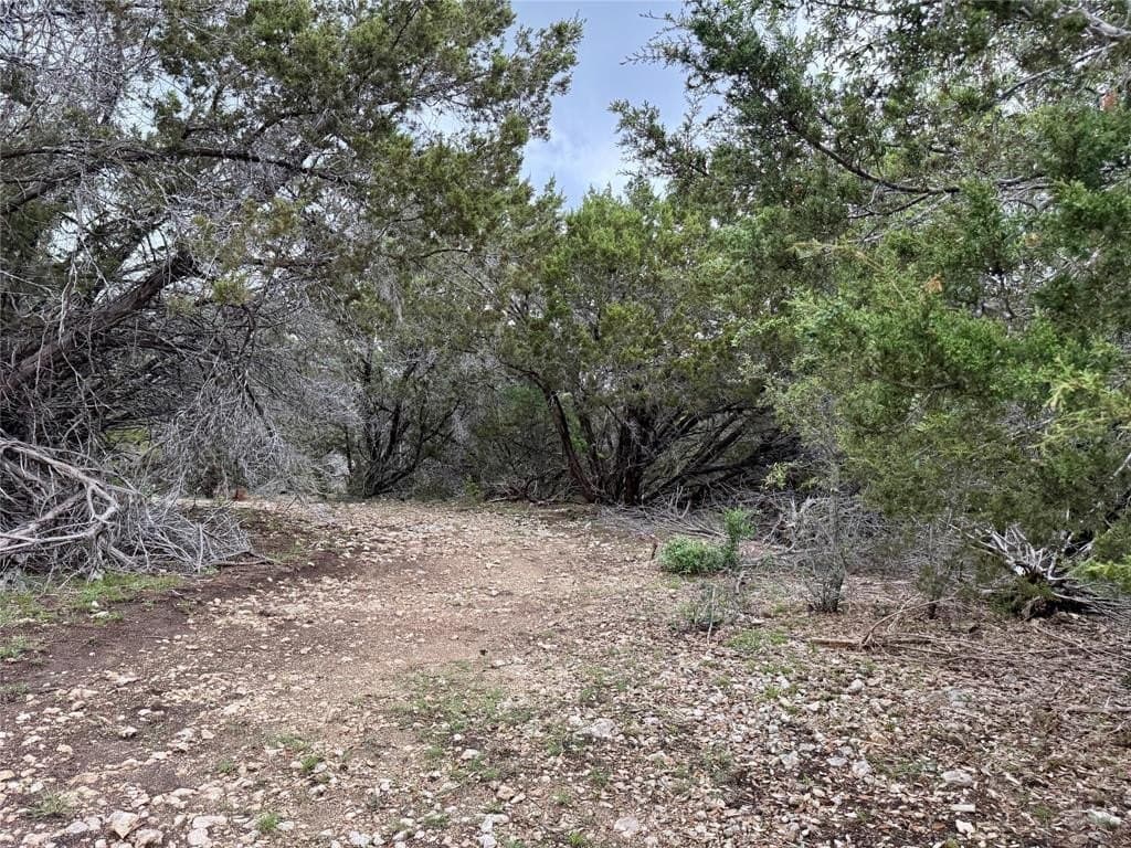 50 acres in Burnet County gallery image 4