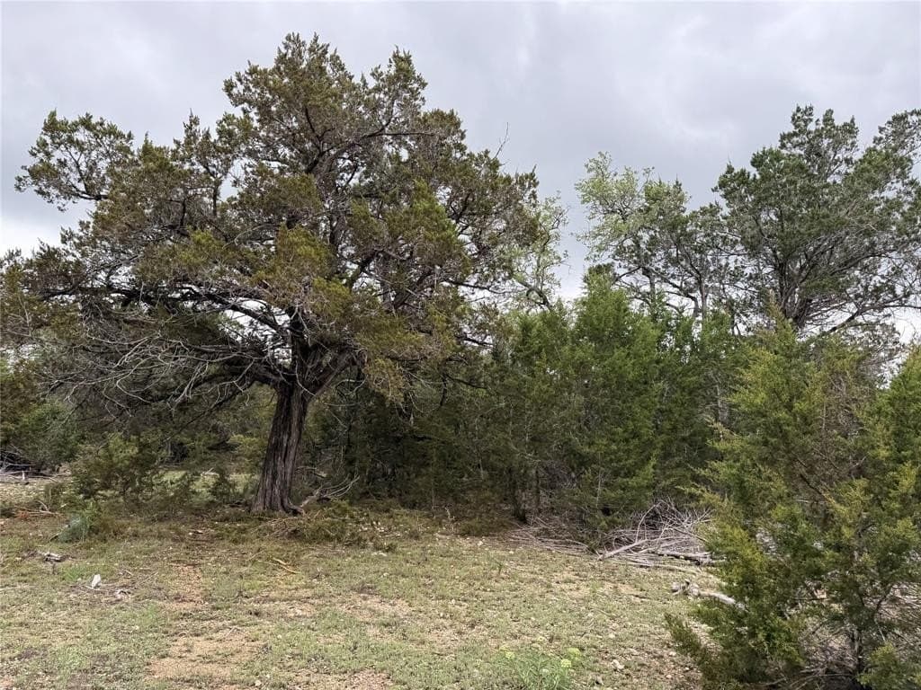 50 acres in Burnet County gallery image 3