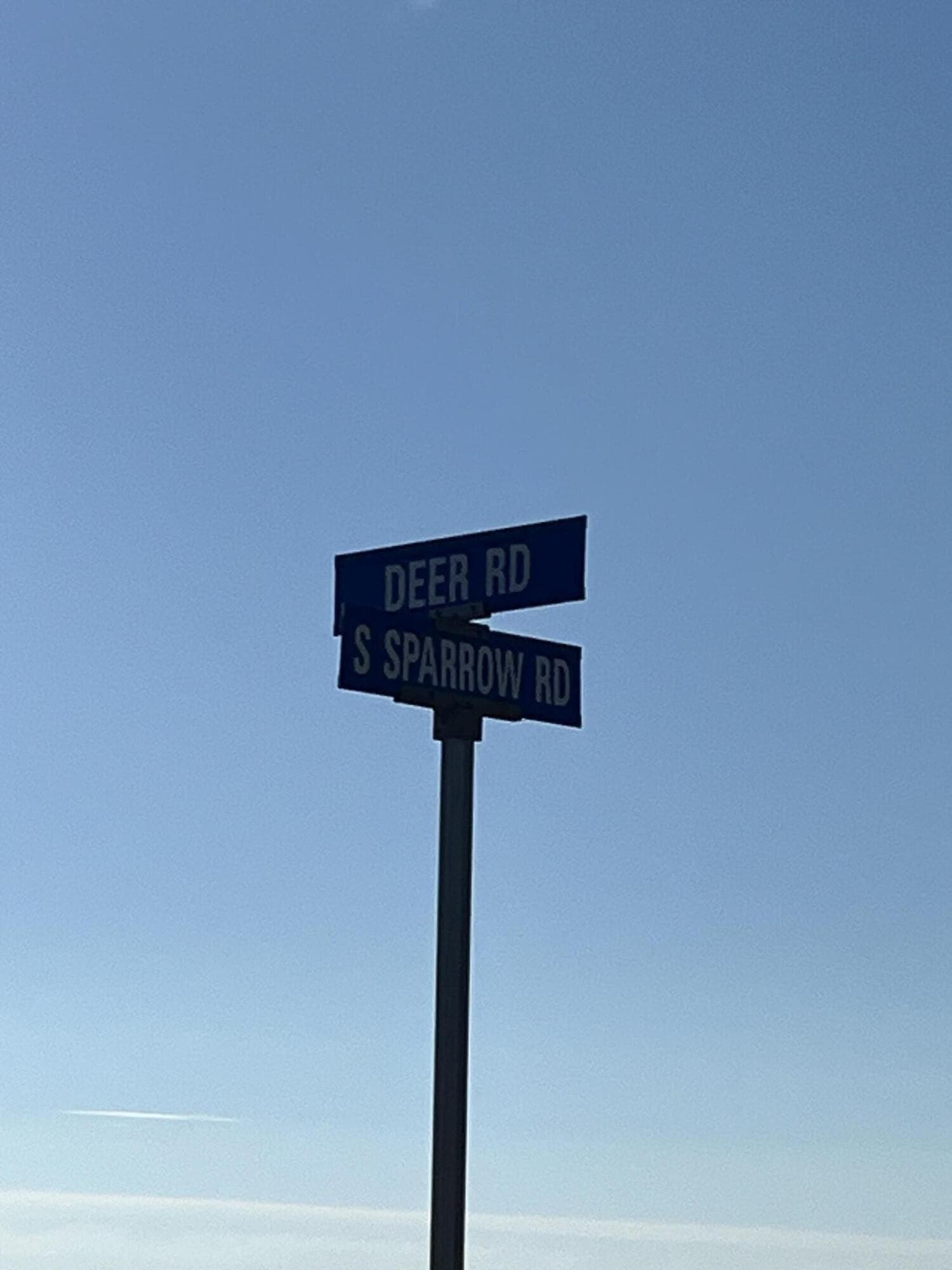 2.01 acres in Hockley County gallery image 2