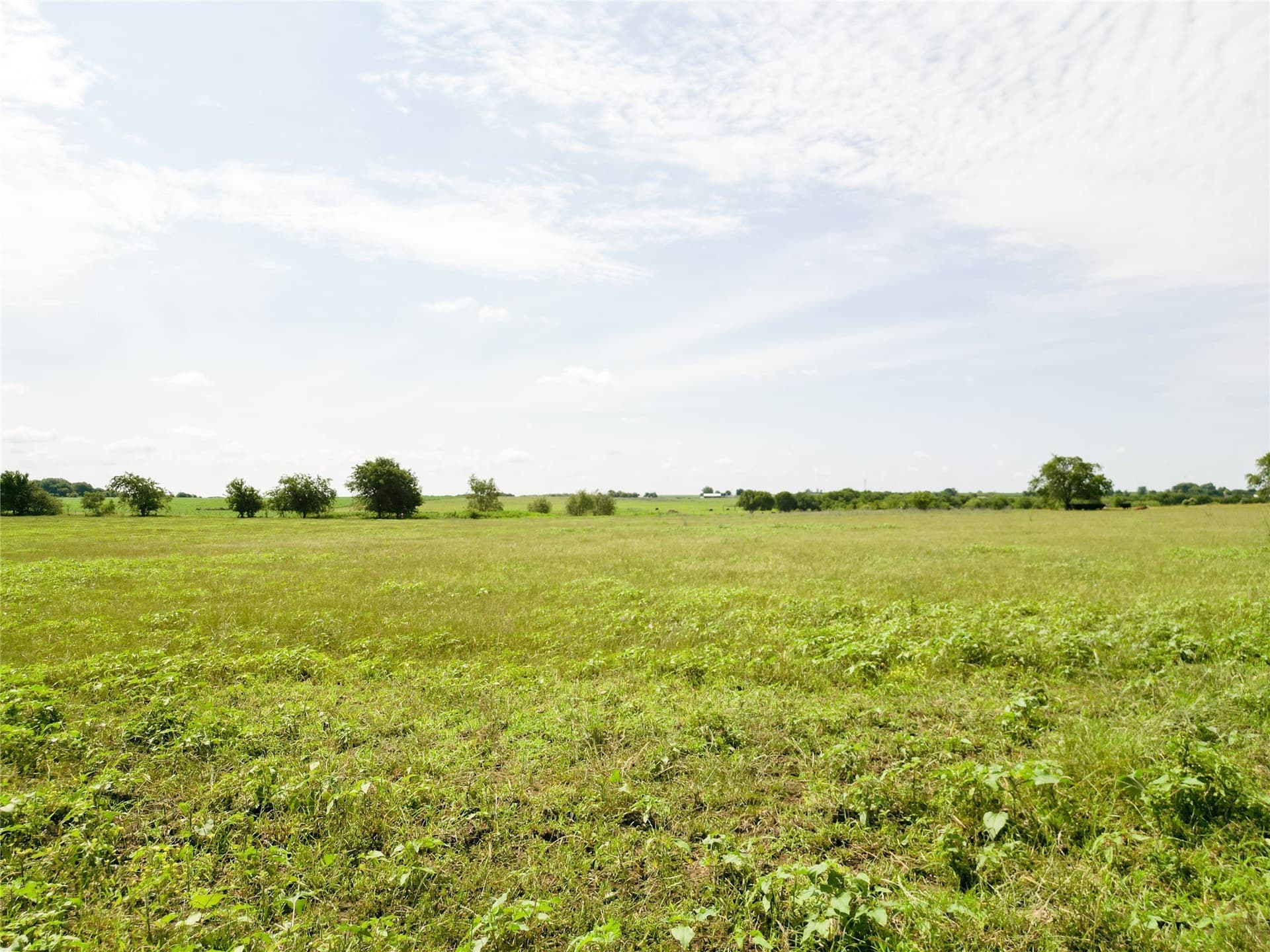 16.79 acres in Hill County - photo 4