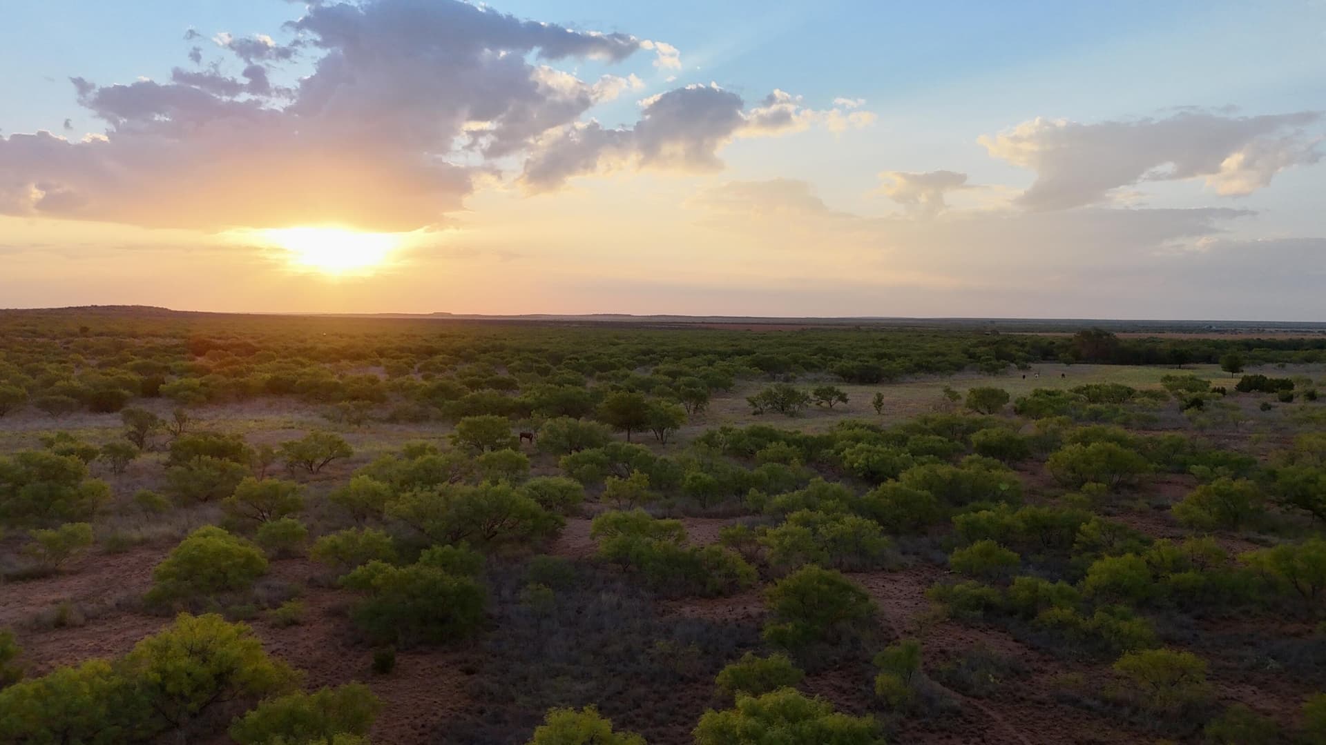 81.65 acres in Dickens County - photo 12