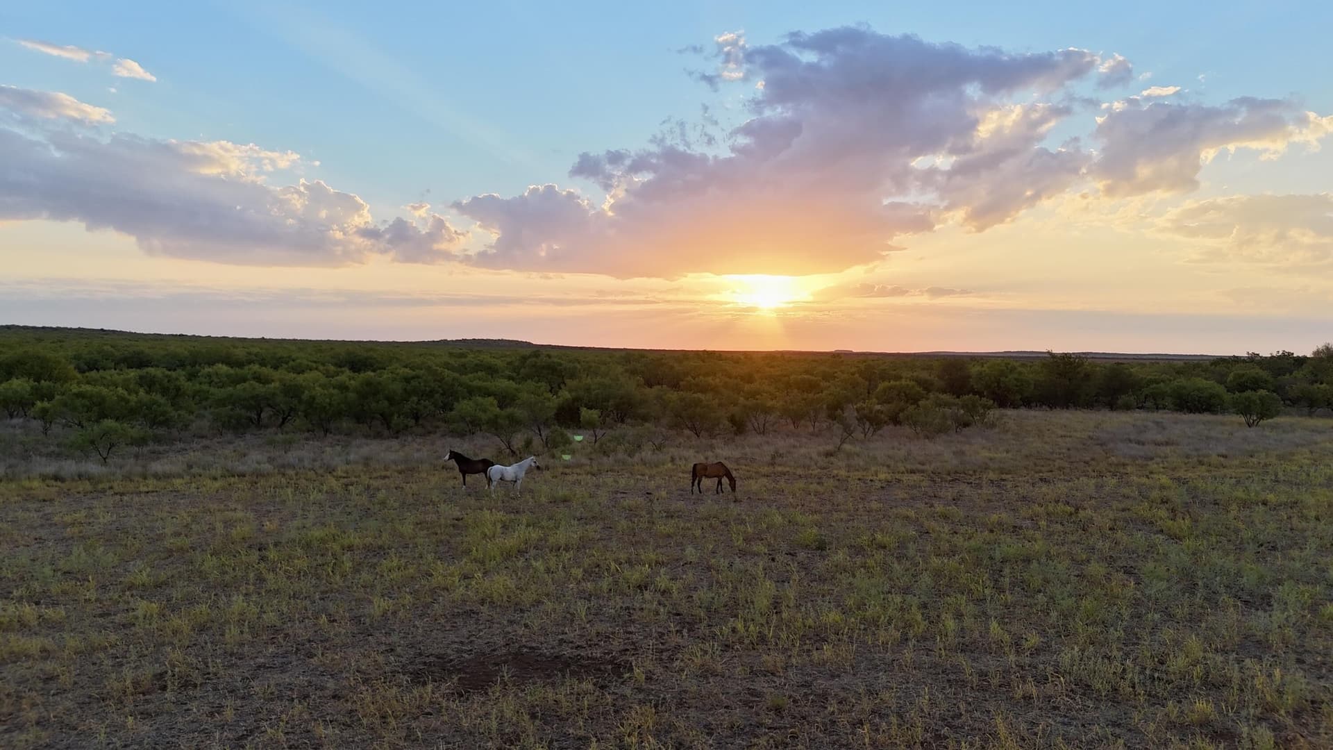 81.65 acres in Dickens County - photo 9