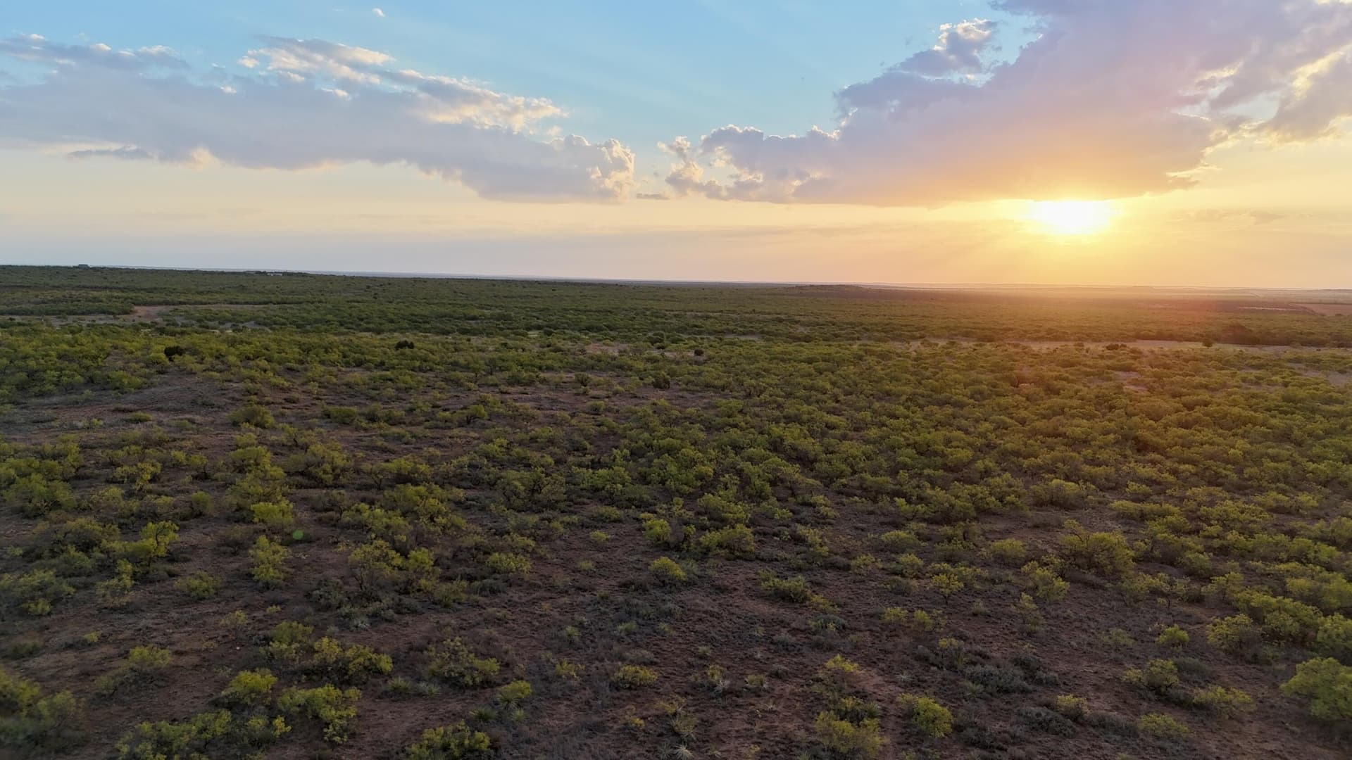 81.65 acres in Dickens County - photo 14