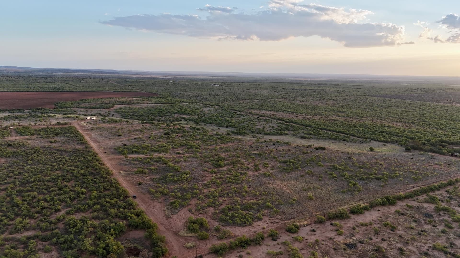 81.65 acres in Dickens County - photo 16