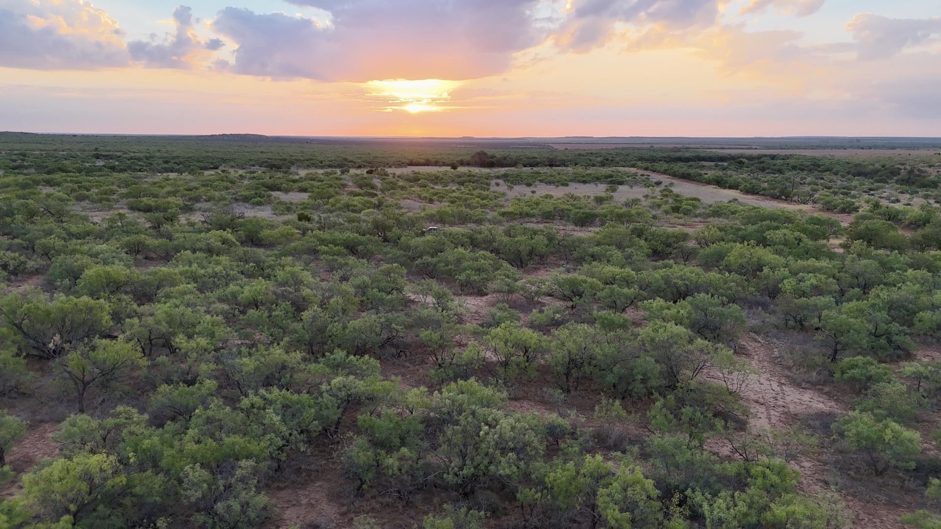 81.65 acres in Dickens County - photo 3