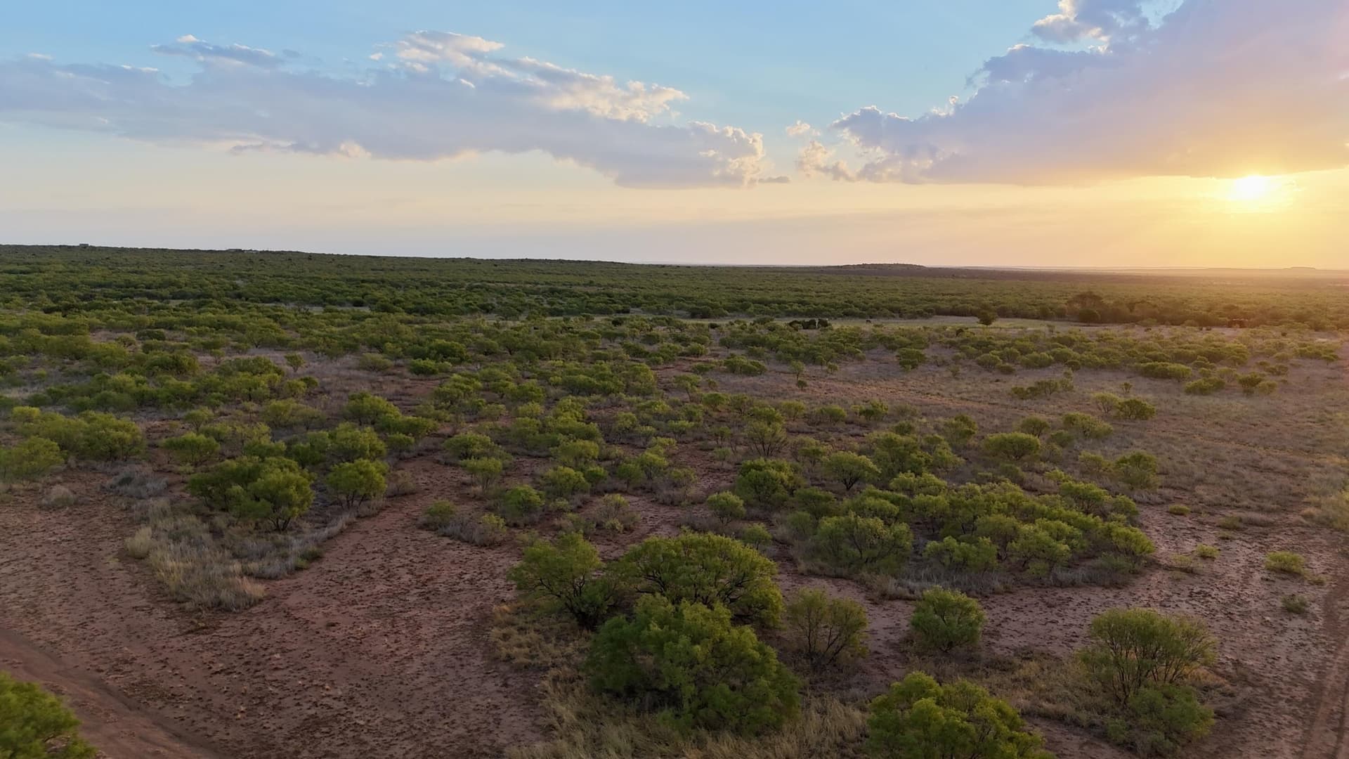 81.65 acres in Dickens County - photo 15