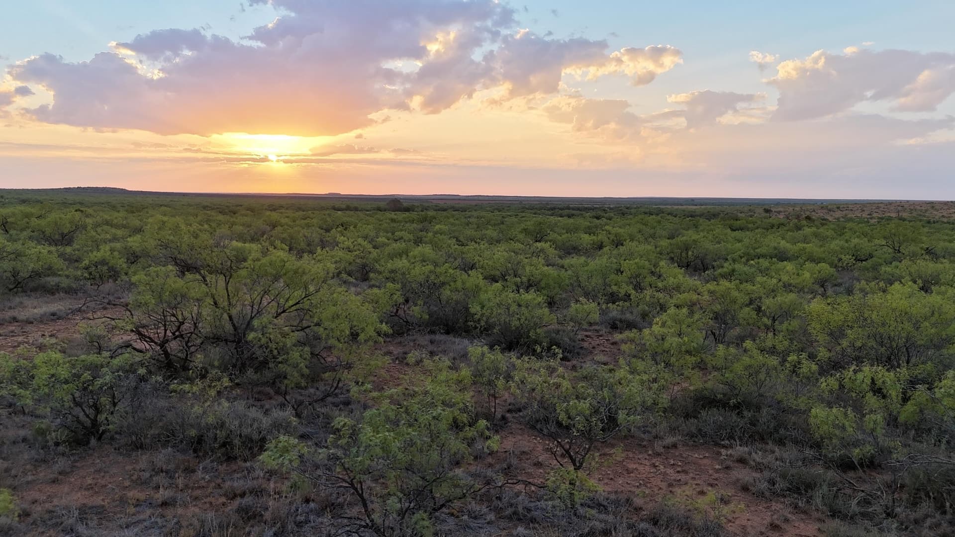 81.65 acres in Dickens County - photo 8