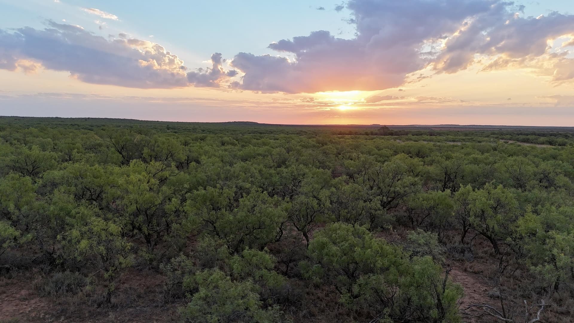 81.65 acres in Dickens County - photo 5