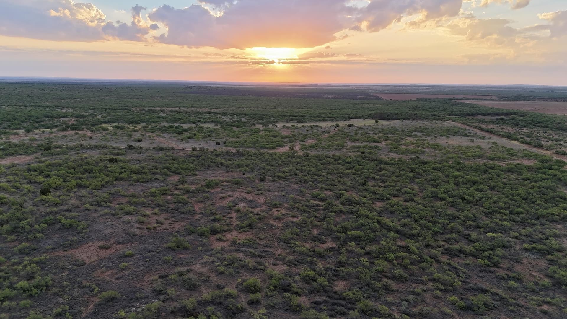 81.65 acres in Dickens County - photo 6