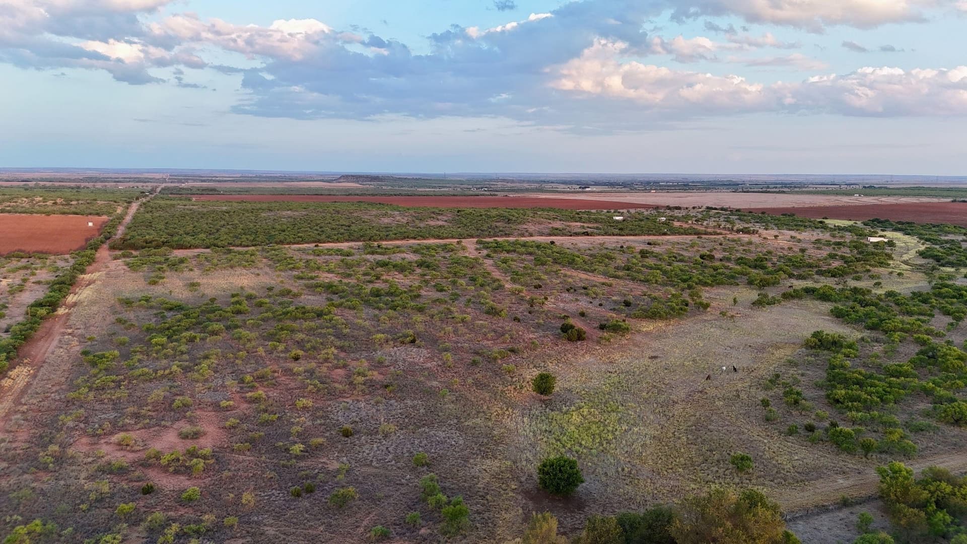 81.65 acres in Dickens County - photo 11