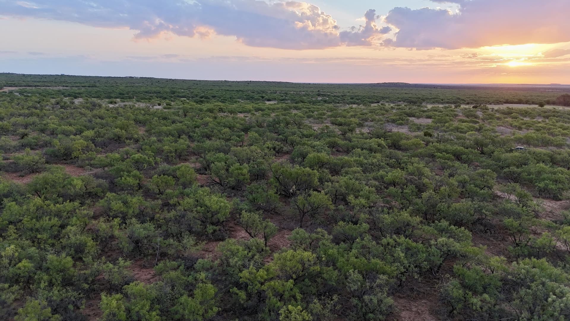 81.65 acres in Dickens County - photo 4
