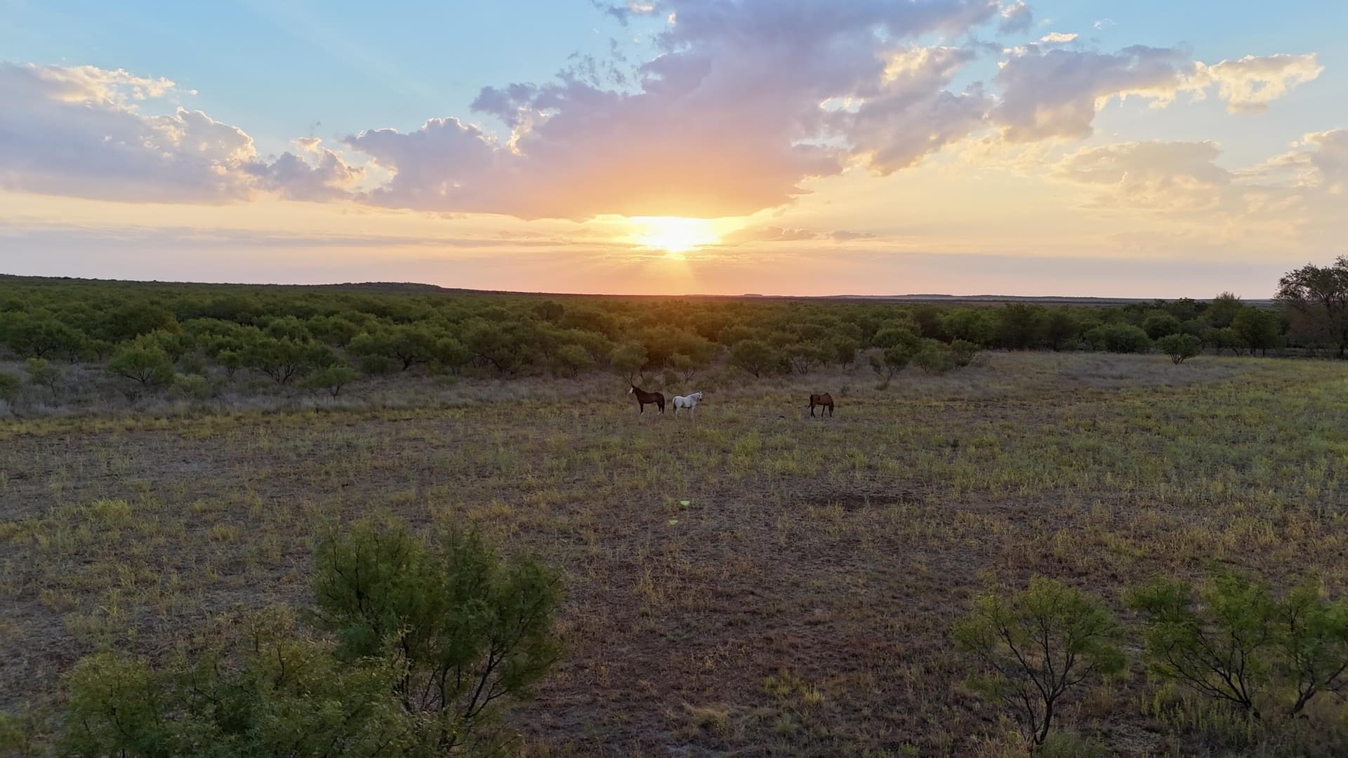 81.65 acres in Dickens County - photo 10