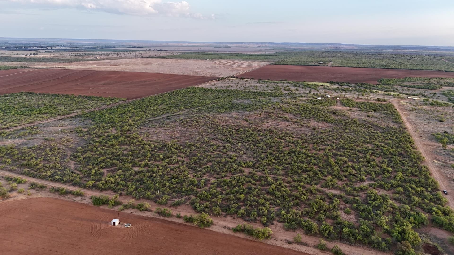 81.65 acres in Dickens County - photo 17