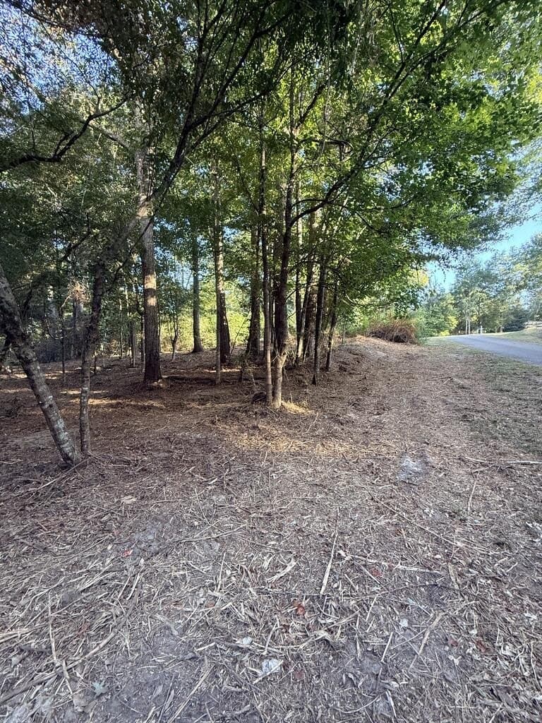 3.22 acres in Texas County - photo 3