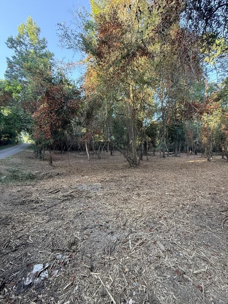 3.22 acres in Texas County - photo 2