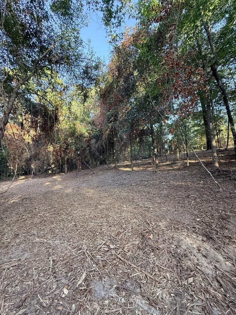 3.22 acres in Texas County - photo 5