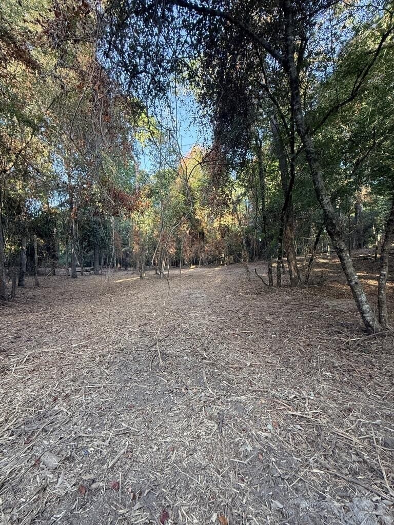 3.22 acres in Texas County - photo 4