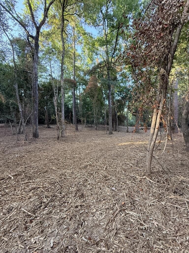 3.22 acres in Texas County