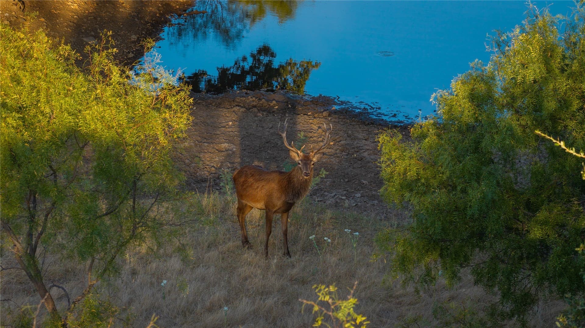 598 acres in Stephens County - photo 2