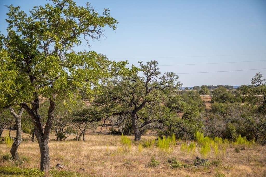 5.01 acres in Kerr County - photo 17